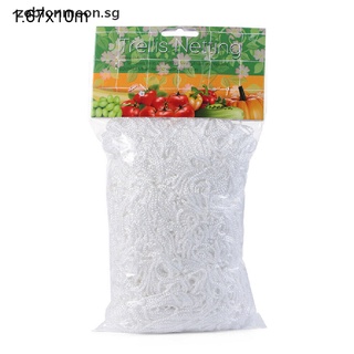 Lưới Hàng Rào Hỗ Trợ Trồng Cây Dây Leo Cho Sân Vườn