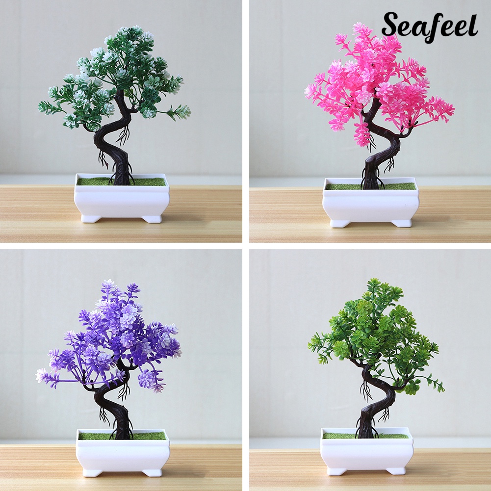 Chậu Cây Bonsai Giả Trang Trí Bàn