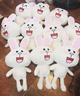 Gấu ôm BROWN ❤️ CONY