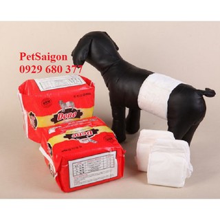 [Yêu Thích] Tả chó đực PetSaigon