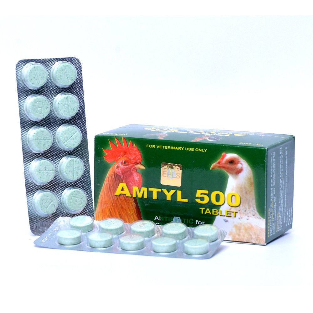 Thuốc Amtyl 500 cho gà chiến - trị khò khè, sưng mặt, phù đầu, ...trị tang sau đá.