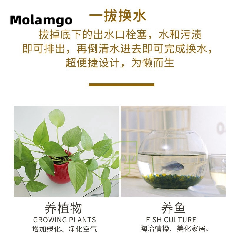 MOLAMGO  Bể Cá Cảnh Mini Tự Thay Nước Tiện Lợi