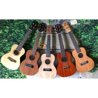 Đàn Ukulele Concert Full Gỗ MT-LML CB2