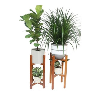 Đôn Gỗ Kê Chậu Cây 2 Tầng