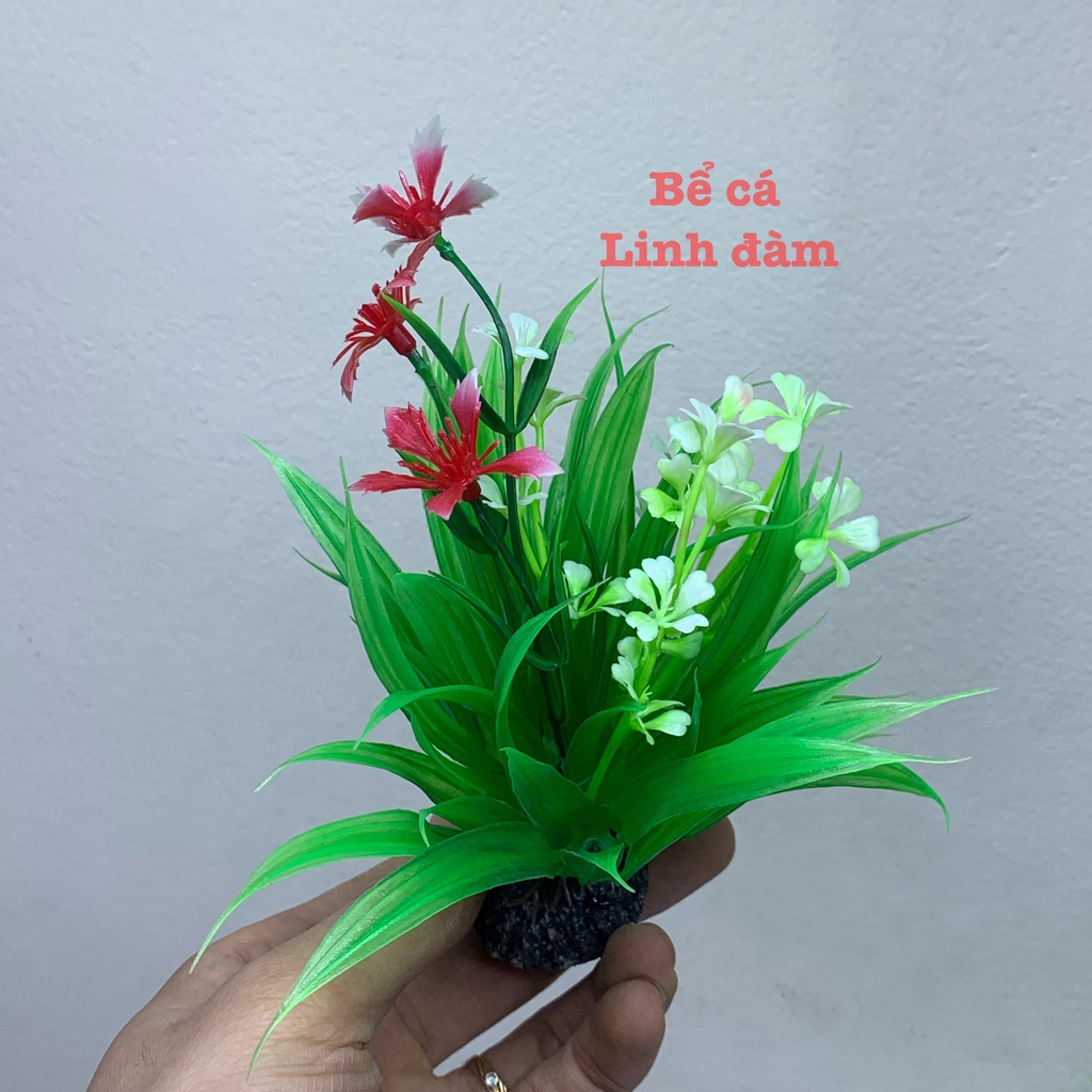 Cây nhựa trang trí bể cá cảnh giá rẻ