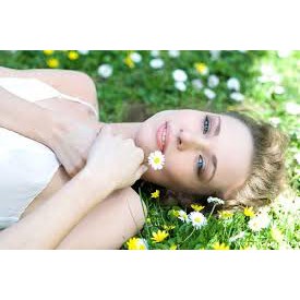 Chiết xuất Cúc La mã | BigBuy360 - bigbuy360.vn