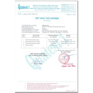 Nước lau sàn Ecocare Sả Chanh 1L