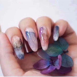 hoa khô ẩn gel nail