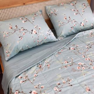 Fullset 4 món chăn ga gối cotton lụa Hàn quốc mẫu hoa đào nền xanh mint