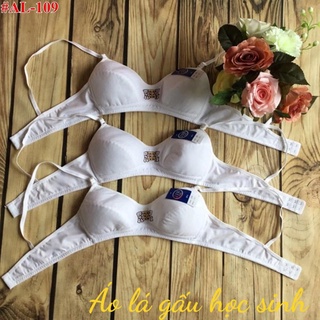 Áo ngực nữ gấu vải học sinh giá sỉ - my loan 42