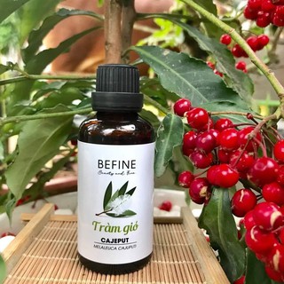 Tinh Dầu Tràm Gió Befine nguyên chất cho bé