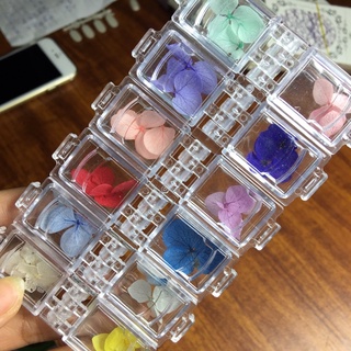Hoa khô cánh to trang trí móng - nail nghệ thuật set*12 ô