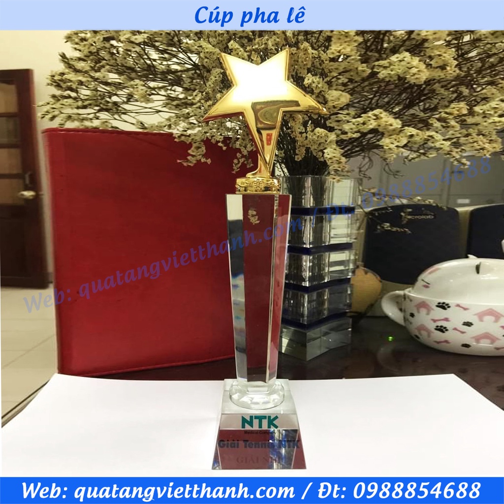 Cúp pha lê sao kim loại