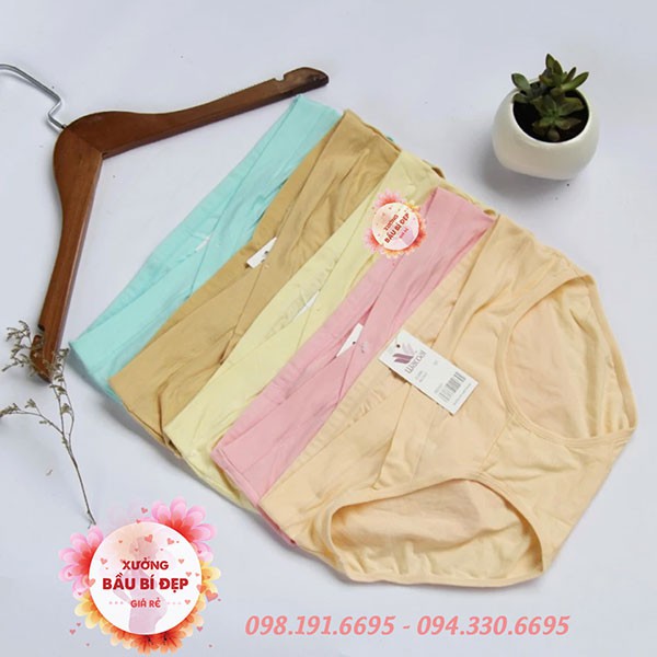 Combo 5 quần lót bầu