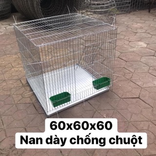 Lồng chim lồng gà cảnh lồng gà con 60x60 loại 3.5 kg