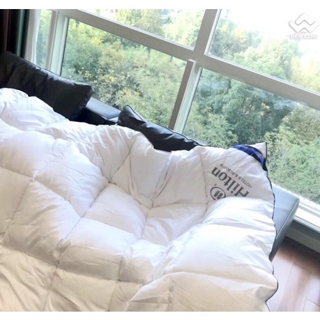 Ruột chăn lông vũ khách sạn 5* Hilton nhập khẩu nguyên chiếc( chuẩn loại 1)