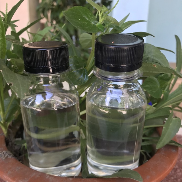 Dầu dừa Hương Xưa giảm rụng tóc, nấm, gàu và ngứa da đầu. Handmade