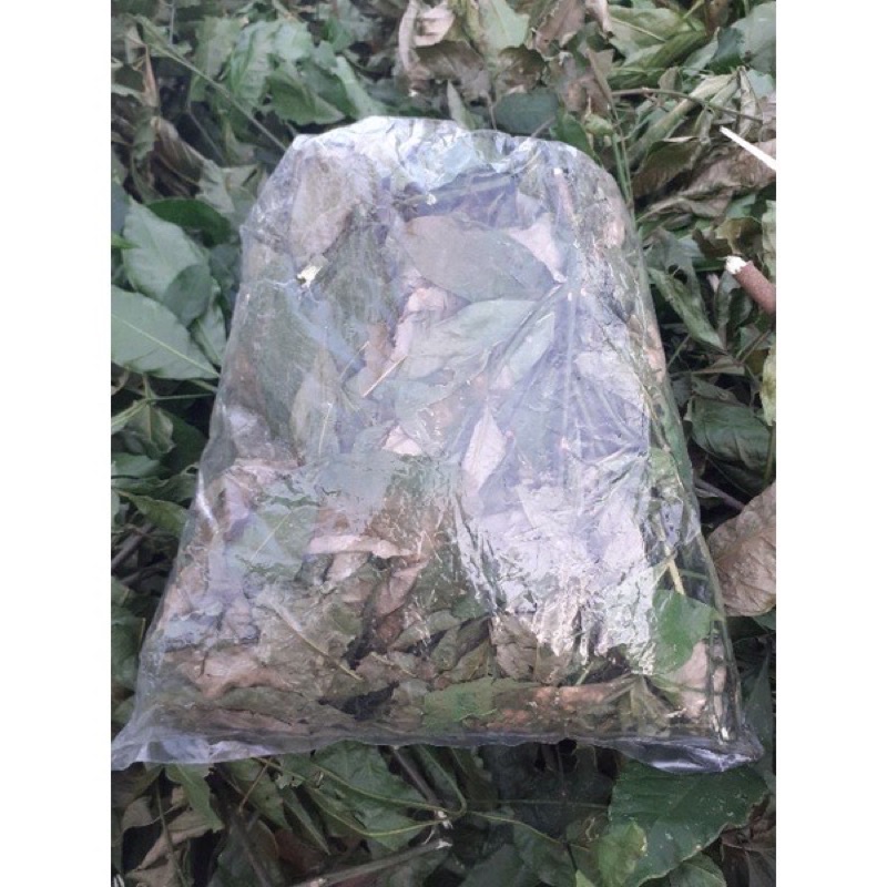 50k 1kg Chè cỏ NGHỆ AN  nấu cùng chè vằng