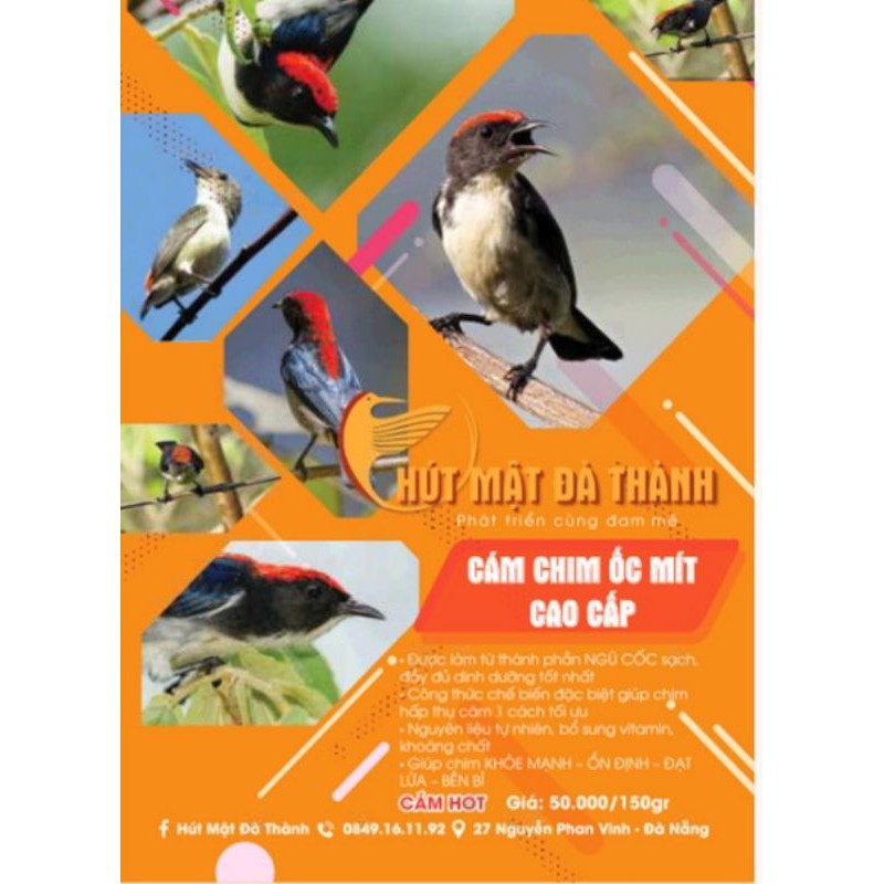 cám ốc mít cao cấp ( cám hót)