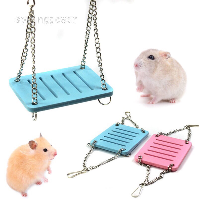 xích đu treo cho hamster