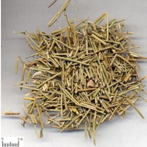 Ma hoàng sấy khô nguyên chất 100 gram.