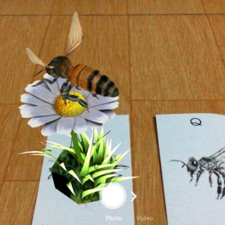 BỘ ĐỒ CHƠI THẺ HỌC 4D CHO BÉ