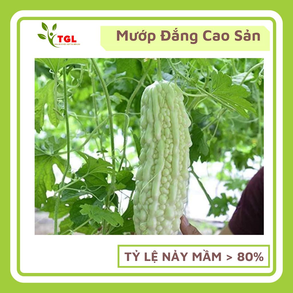 Hạt giống mướp đắng Phú điền - Hạt giống rau củ quả dùng làm vườn Nông Nghiệp Gia Lâm