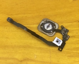Dây đệm nút home + nút home Iphone 5S