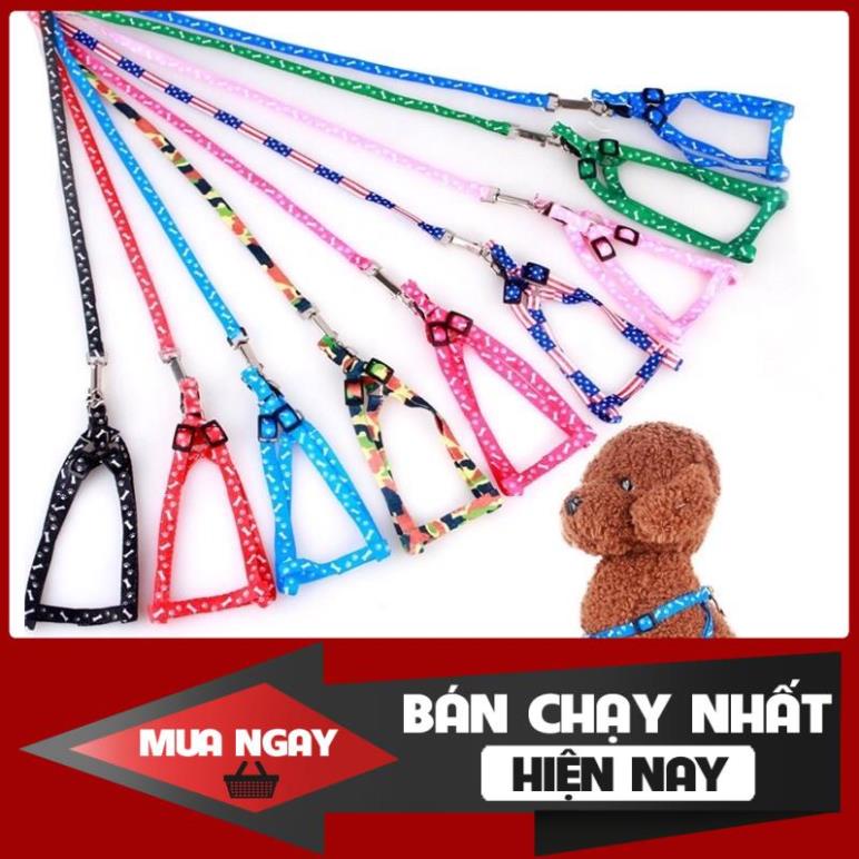 Set Dây xích ngực chó mèo thú cưng chống trầy cổ - Hàng hoa văn cao cấp TC07SP2