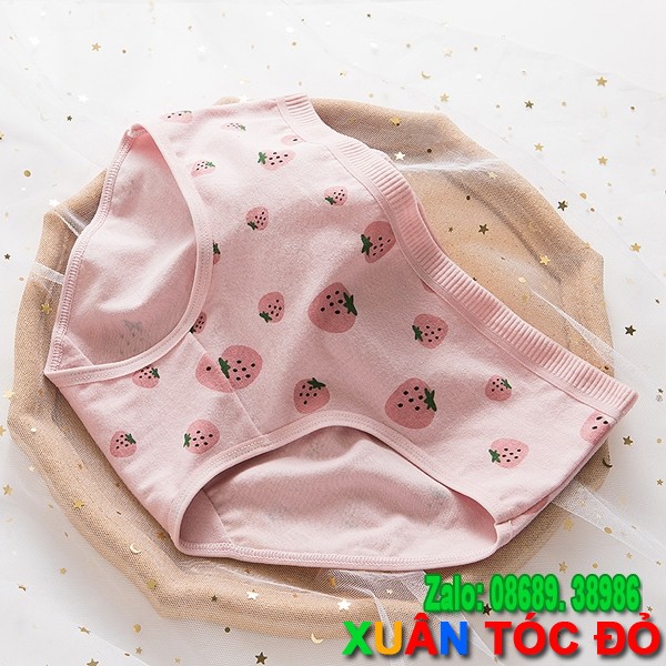 SỈ ZALO RẺ HƠN NHIỀU_ Quần Lót 5 Kiểu Dâu Tây Hồng Mới 5048 | BigBuy360 - bigbuy360.vn