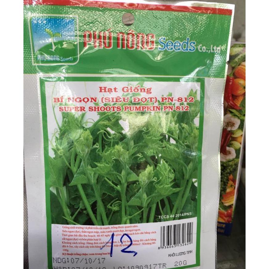 Hạt giống Bí ngọn (Siêu đọt ) - PNSeeds