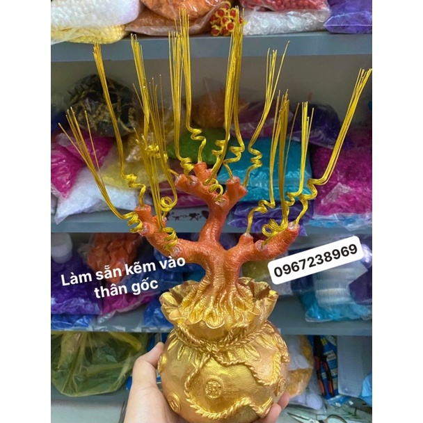 Cây Kim tiền cỡ tofreeshipCây tài lộc may mắn,handmade