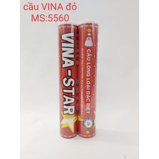 Ống cầu lông Vinastar đỏ
