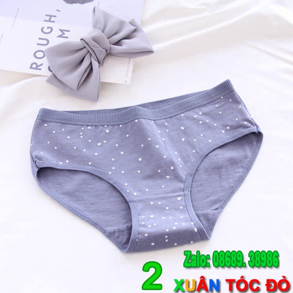 SỈ ZALO RẺ HƠN NHIỀU_ Quần Lót Gấu Trắng Bắc Cực Siêu Đẹp 5079 | BigBuy360 - bigbuy360.vn