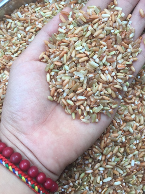 Gạo Lức Đỏ Điện Biên 2kg | BigBuy360 - bigbuy360.vn