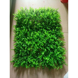 Thảm cỏ nhân tạo treo tường - tấm cỏ tai chuột  giá rẻ nhất