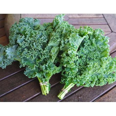 Hạt Giống Cải Xoăn Kale Dễ Trồng, Năng Suất Cao 5gr