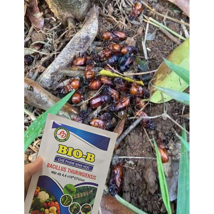 Chế phẩm vi sinh phòng diệt sâu, nhện đỏ, bọ trĩ, sùng đất... sinh học BIO-B