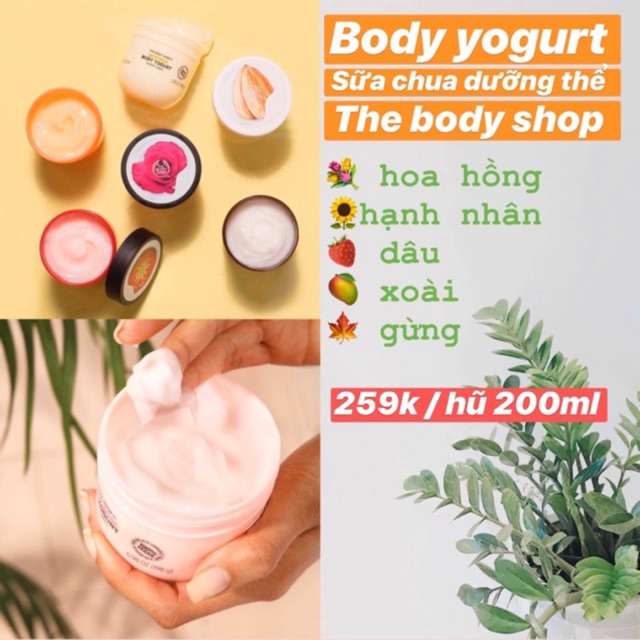 Sữa Chua Dưỡng Thể The Body Shop hũ 200ml giá SALE