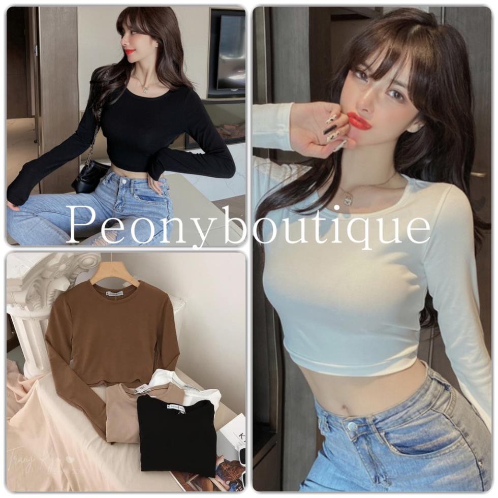 Áo Croptop Body Zip Dài Tay Nữ 🌸 Thun dáng ôm dài tay cổ tròn, phông trơn màu ĐEN | TRẮNG | NÂU | BE Ulzzang HOT 🌸 . ཾ