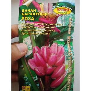 Hạt giống quả chuối đỏ