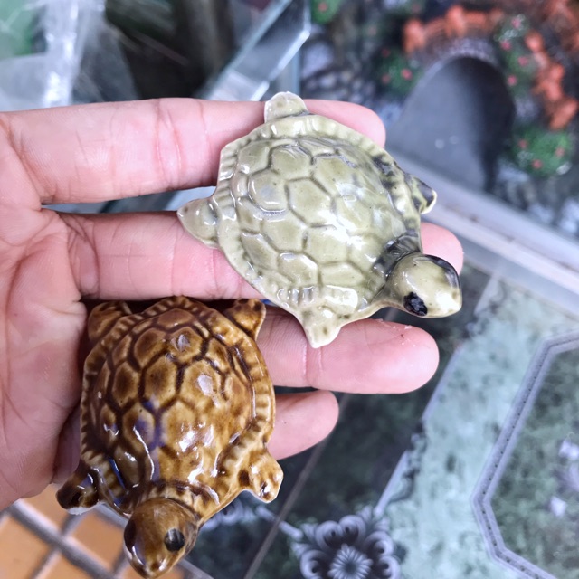 RÙA NỔI TRANG TRÍ HỒ CÁ NON BỘ
