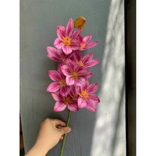 Hoa giả - hoa địa lan cao su