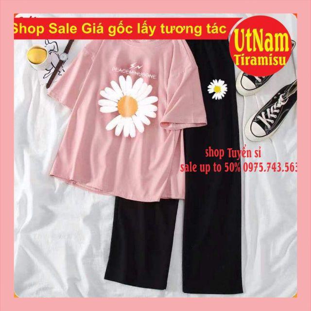 Sét áo phông hoa cúc tia sét + quần