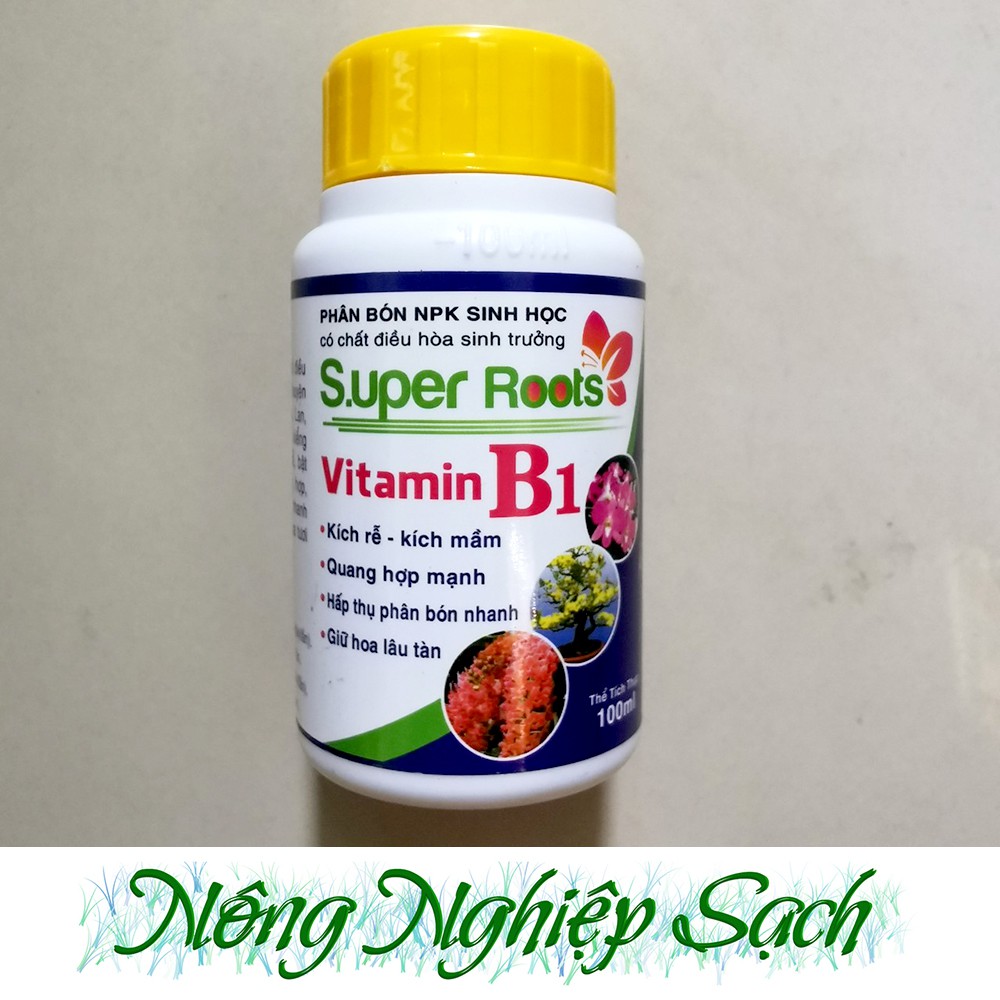 B1 Super Roots - Kích rễ, kích mầm, dưỡng hoa 100ml