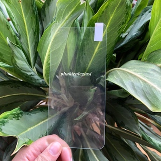 Cường Lực Huawei các dòng nhiều model
