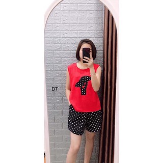 bộ ngủ đũi hàng VNXK