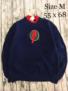 Áo sweater nỷ Mỹ
