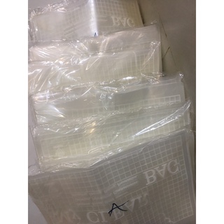 Xấp bìa nút A4 My Clear (12 cái/xấp)