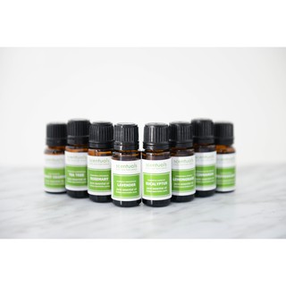 Tinh dầu lá quế Scentuals Cinnamon Leaf Pure Essential Oil 10ml